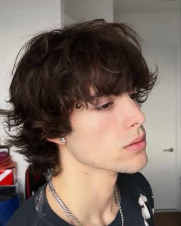 Shaggy Mod Cut